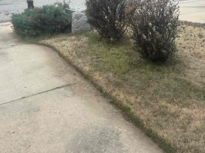 Leaf Removal service in Edmond, 73034