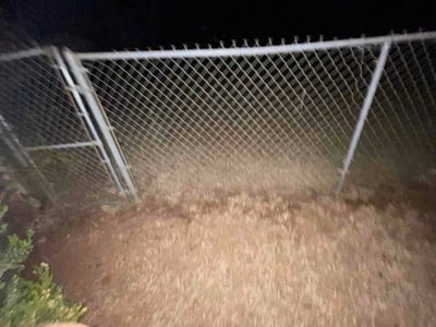 Leaf Removal service in Edmond, 73034