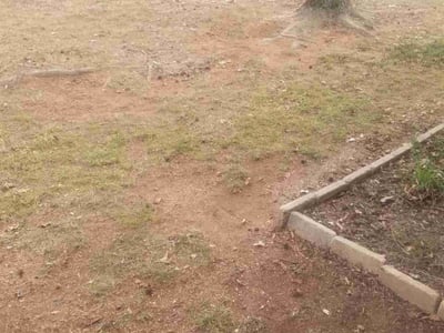 Leaf Removal service in Edmond, 73034