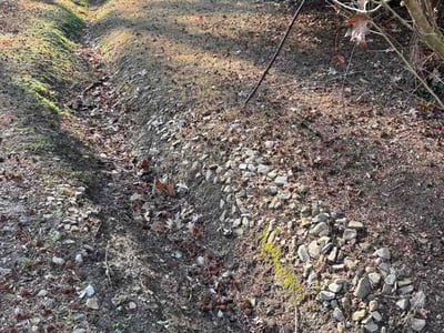 Leaf Removal service in Edmond, 73034
