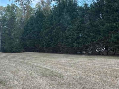 Leaf Removal service in Edmond, 73034