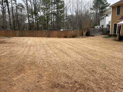 Leaf Removal service in Edmond, 73034