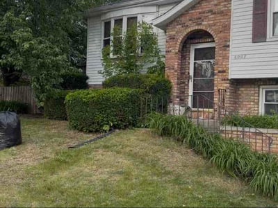 Leaf Removal service in Iowa City, 52240