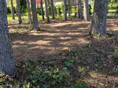 Leaf Removal service in Erie, 16507