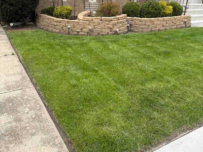 Lawn Care service in Crete, 60417