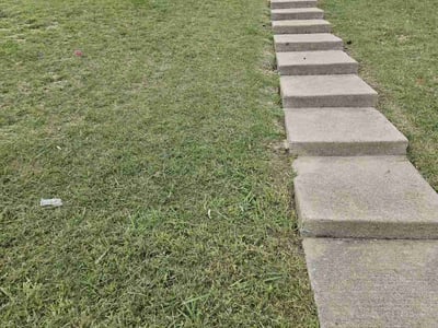 Lawn Care service in Wilmington, 01887
