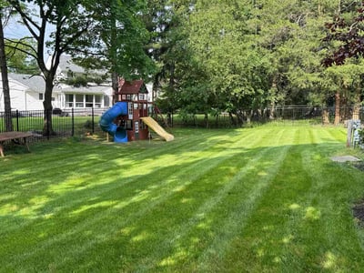 Lawn Care service in Edison, 08817