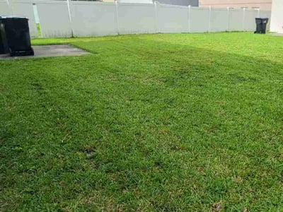 Lawn Care service in Wayland, 01778
