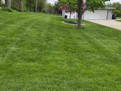 Lawn Care service in Greenfield, 53220