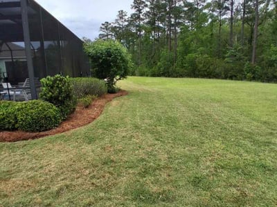 Lawn Care service in Bluffton, 29910
