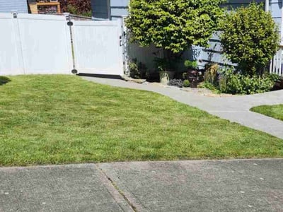 Lawn Care service in Tacoma, 98405