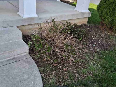 Lawn Care service in Waunakee, 53597