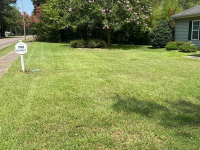 Lawn Care service in Aiken, 29801