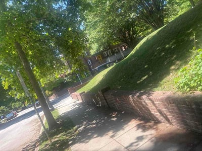 Lawn Care service in Lorton, 22079