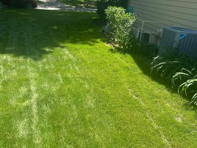 Lawn Care service in Rialto, 92376
