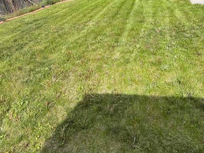 Lawn Care service in South Jordan, 84095