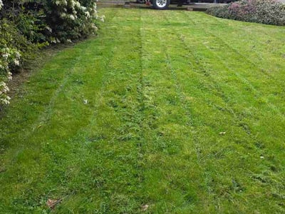 Lawn Care service in Gresham, 97030