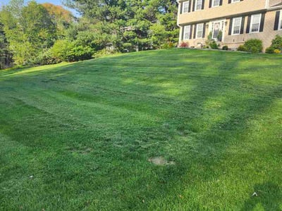 Lawn Care service in New Canaan, 06840