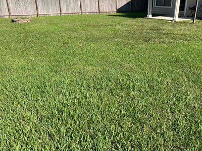Lawn Care service in League City, 77573