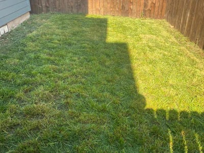 Lawn Care service in Ridgefield, 98642