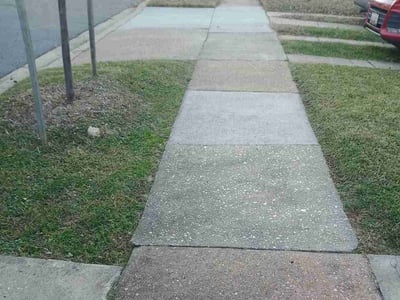 Lawn Care service in Towson, 21286
