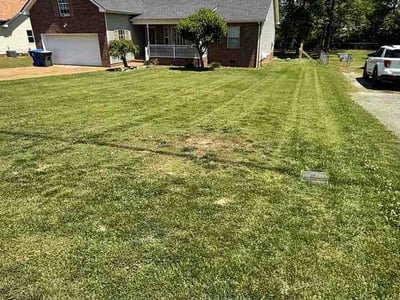 Lawn Care service in White House, 37188