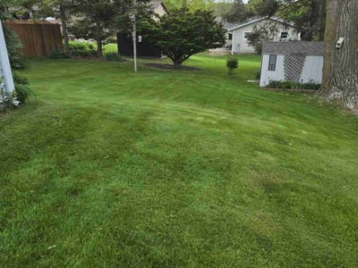 Lawn Care service in West Bend, 53095