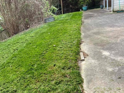 Lawn Care service in Asheville, 28801