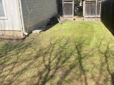 Lawn Care service in Granger, 76530