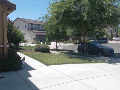 Lawn Care service in Stockton, 95202
