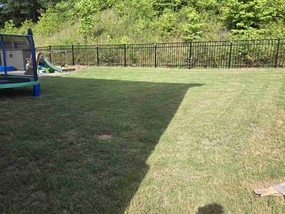 Lawn Care service in Greer, 29651