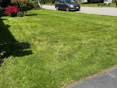 Lawn Care service in North Kingstown, 02852