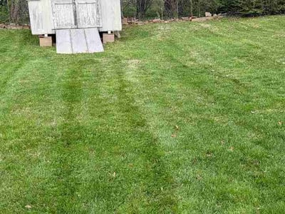 Lawn Care service in Black Mountain, 28711