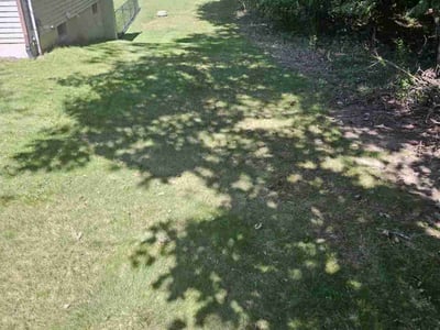 Lawn Care service in Clarks Summit, 18411