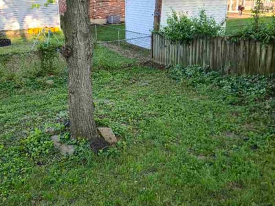 Lawn Care service in Wright City, 63390
