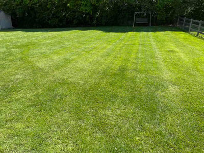 Lawn Care service in Hamilton, 45011