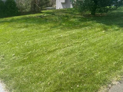 Lawn Care service in West Springfield, 01089