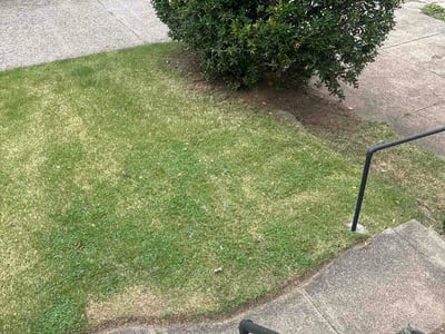 Lawn Care service in Duquesne, 15110