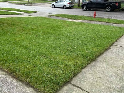 Lawn Care service in Maple Heights, 44137