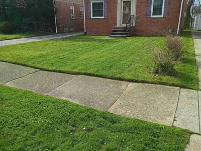 Lawn Care service in Maple Heights, 44137