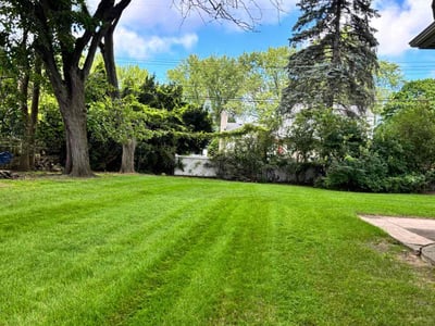 Lawn Care service in Redford Charter Township, 48239