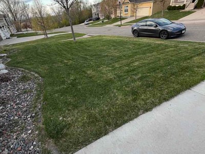 Lawn Care service in St Louis Park, 55426