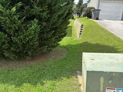 Lawn Care service in Kannapolis, 28083