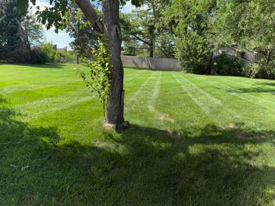 Lawn Care service in Elkhorn, 68022