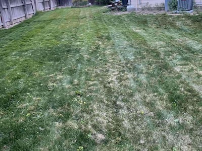 Lawn Care service in South Brunswick, 08852