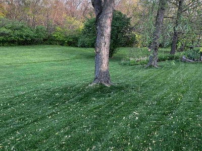Lawn Care service in Crestwood, 63126