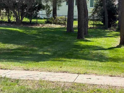 Lawn Care service in Rockford, 49341