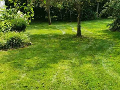 Lawn Care service in Rockford, 49341