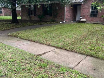 Lawn Care service in Worcester, 01608