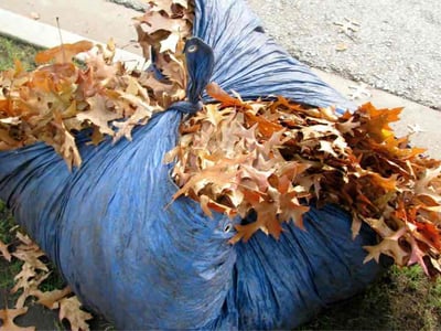 Lawn Care service in Lees Summit, 64063